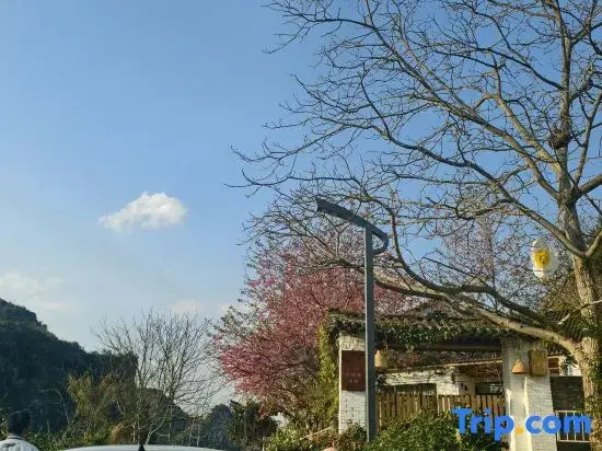Xingyi Huazhidao Courtyard
