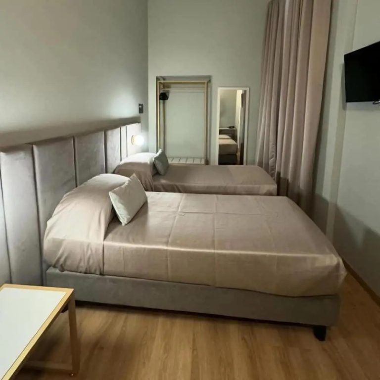 Deluxe Double room (twin beds)