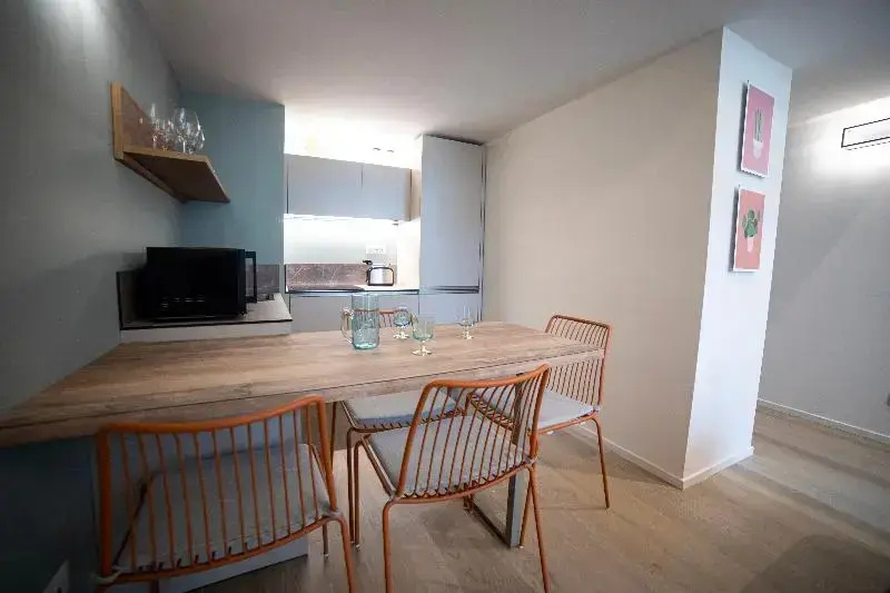 Duplex Apartment with balcony