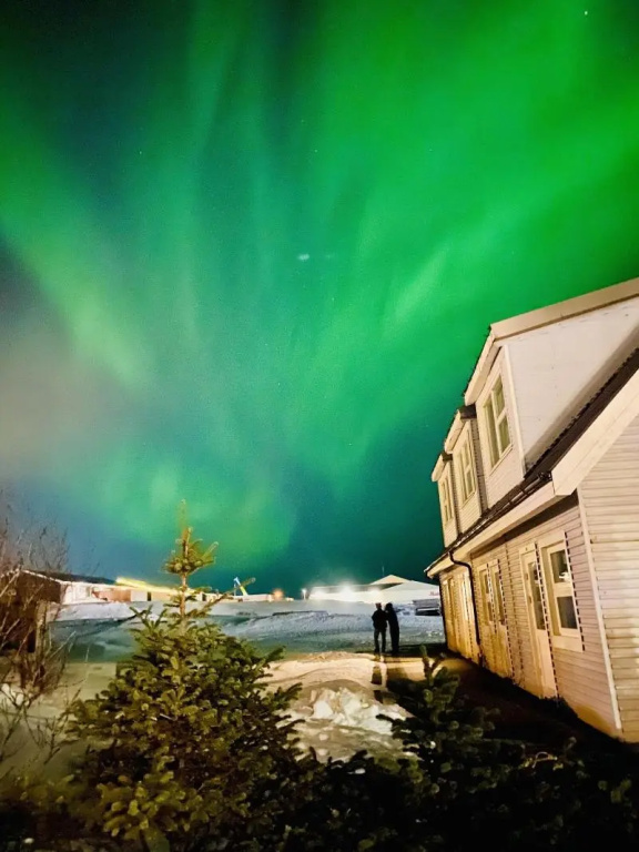 Arctic Wind