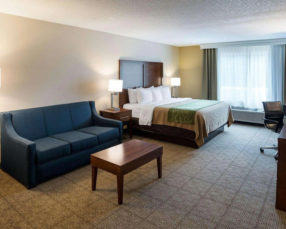 Comfort Inn Duluth West - Général
