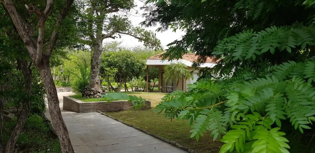 The Meadows Resort and Spa - Chambres