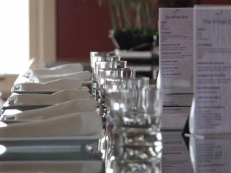 The White Ibis — фото 5