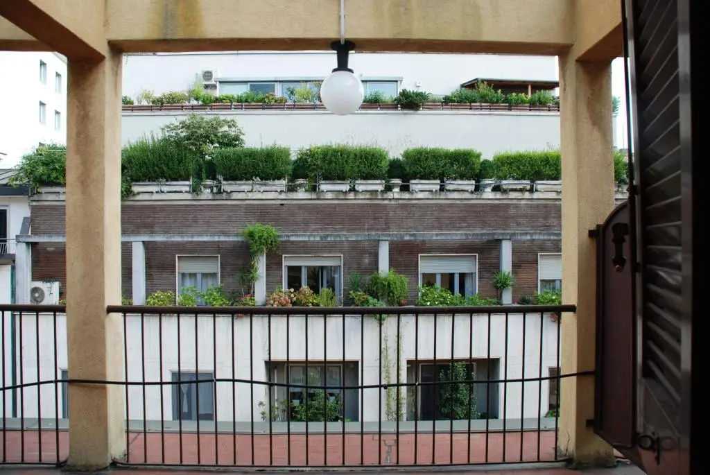 Balcony & Terrace