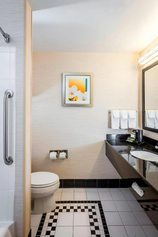 Fairfield Inn & Suites by Marriott Auburn Opelika - Chambres
