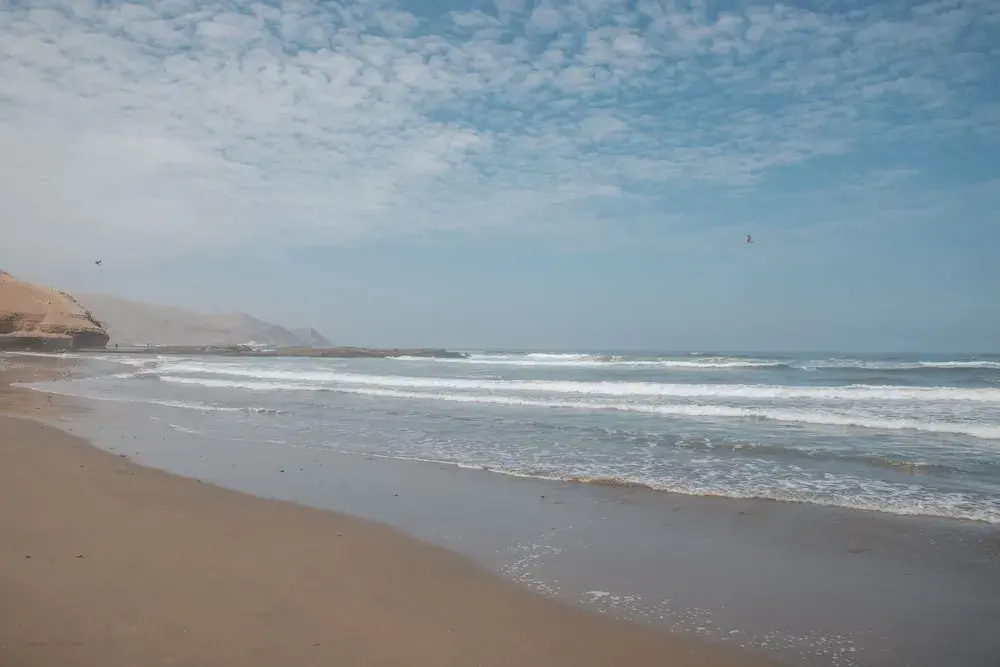 DM Hoteles Asia - фото 17