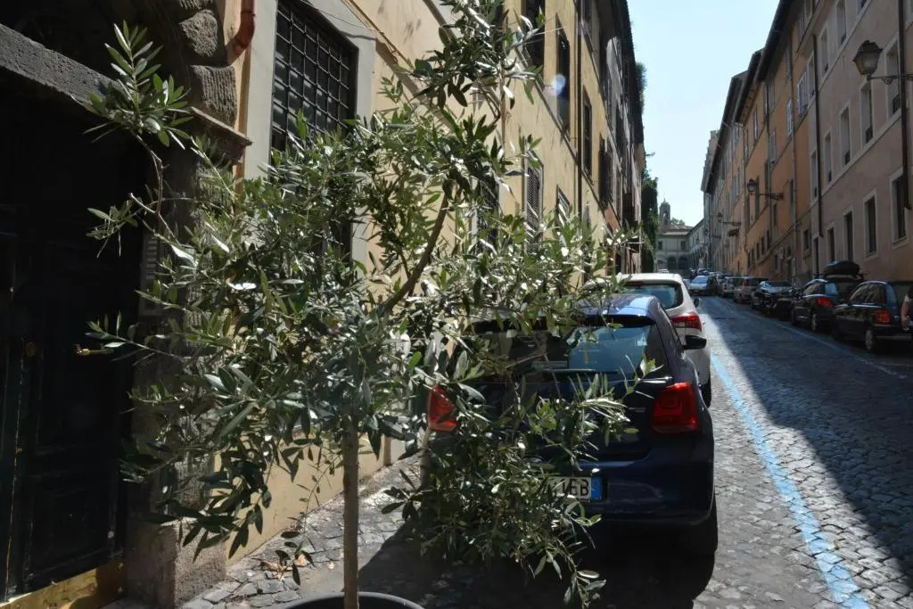 Petit Bijou de Rome Vatican-Trastevere