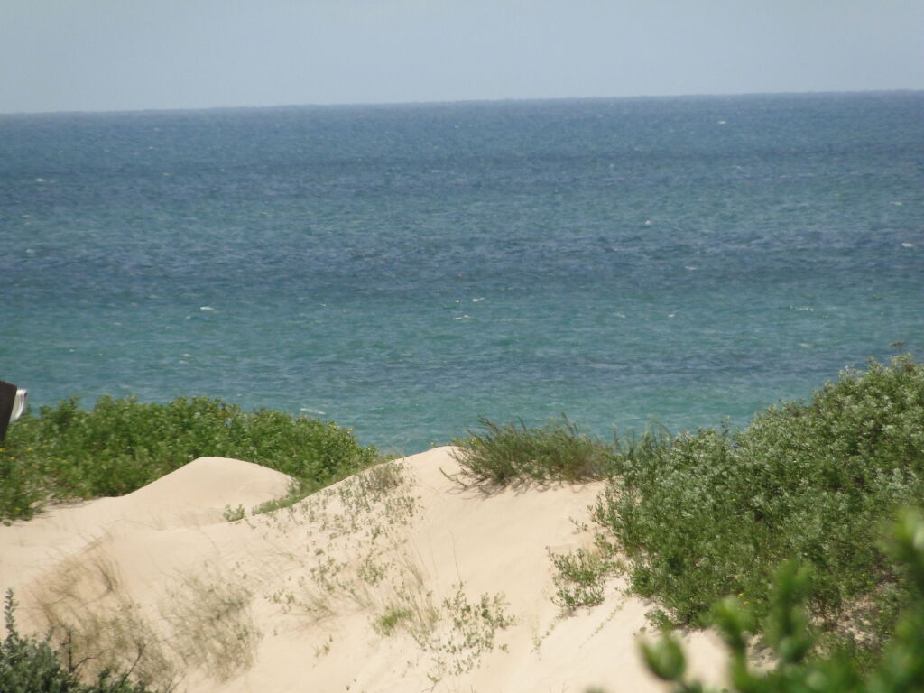 Image 14