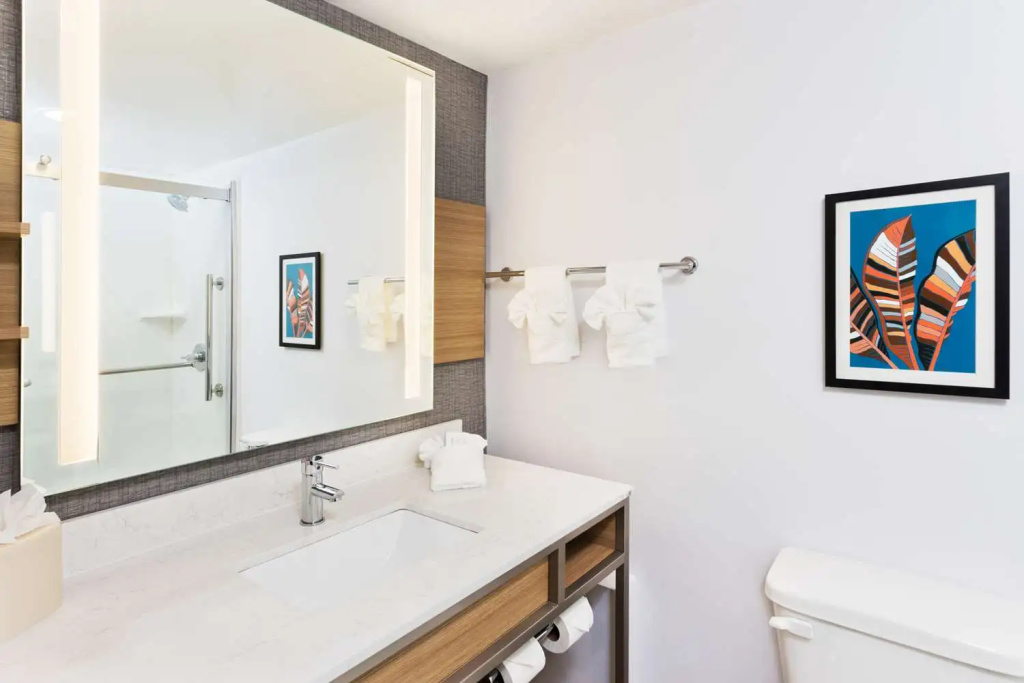 Hilton Garden Inn Birmingham/Lakeshore Drive - Général