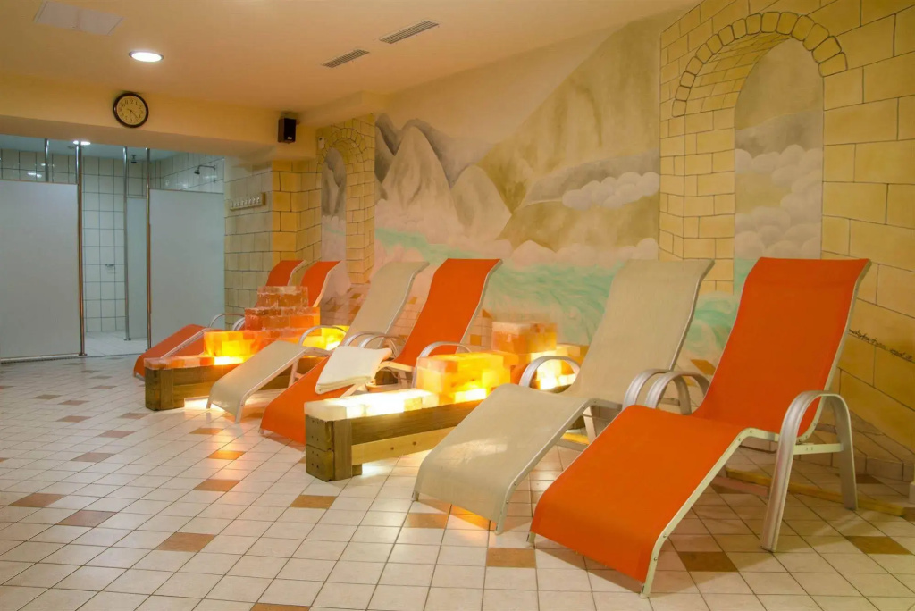 Alp Hotel - Général