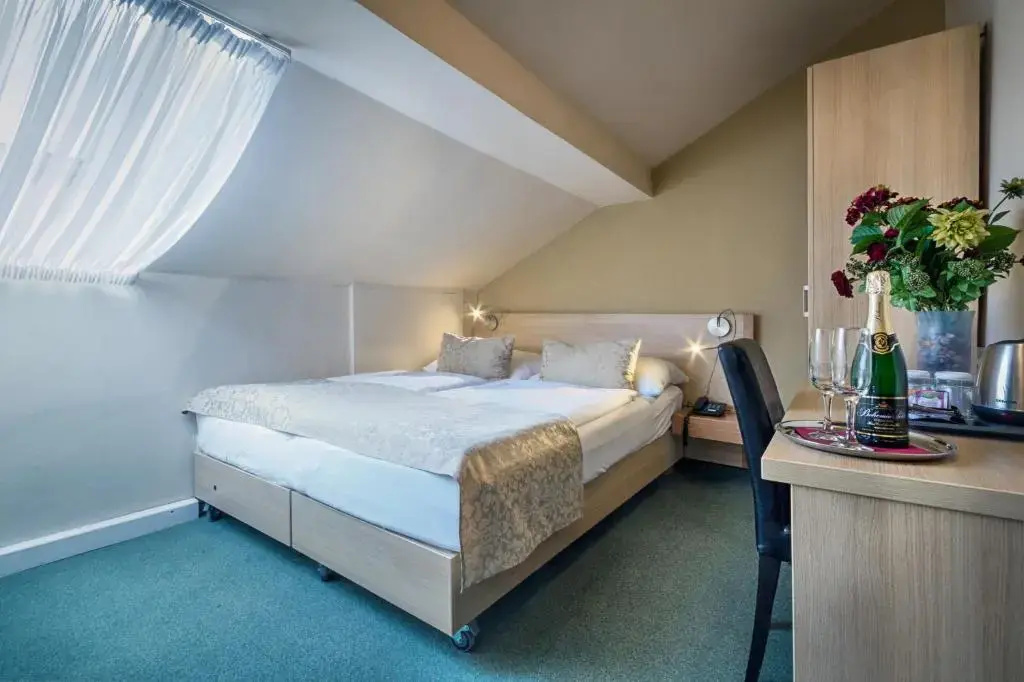 Economy Single Attic room