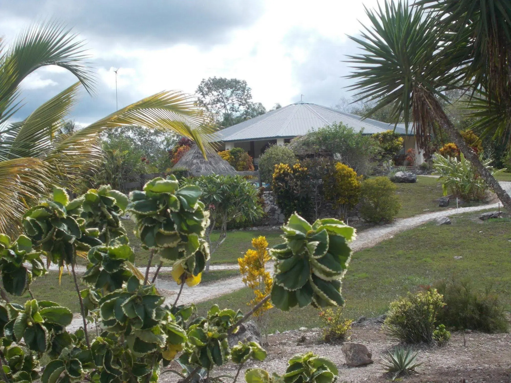 Gumbo Limbo Jungle Resort - Général