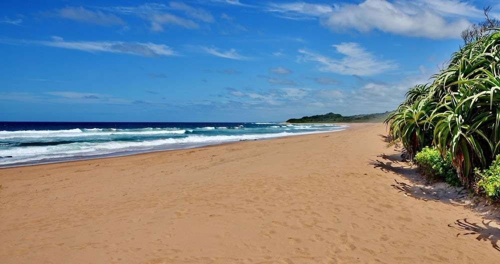 Beach & Waterfront