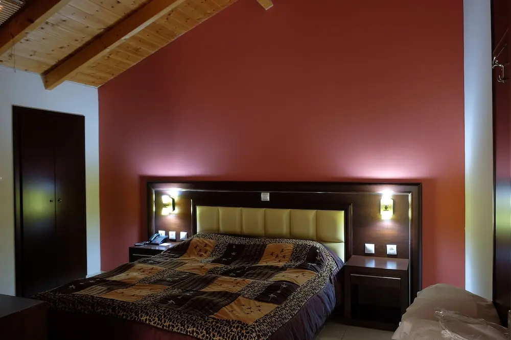 Mouzaki Palace Hotel & Spa - Général