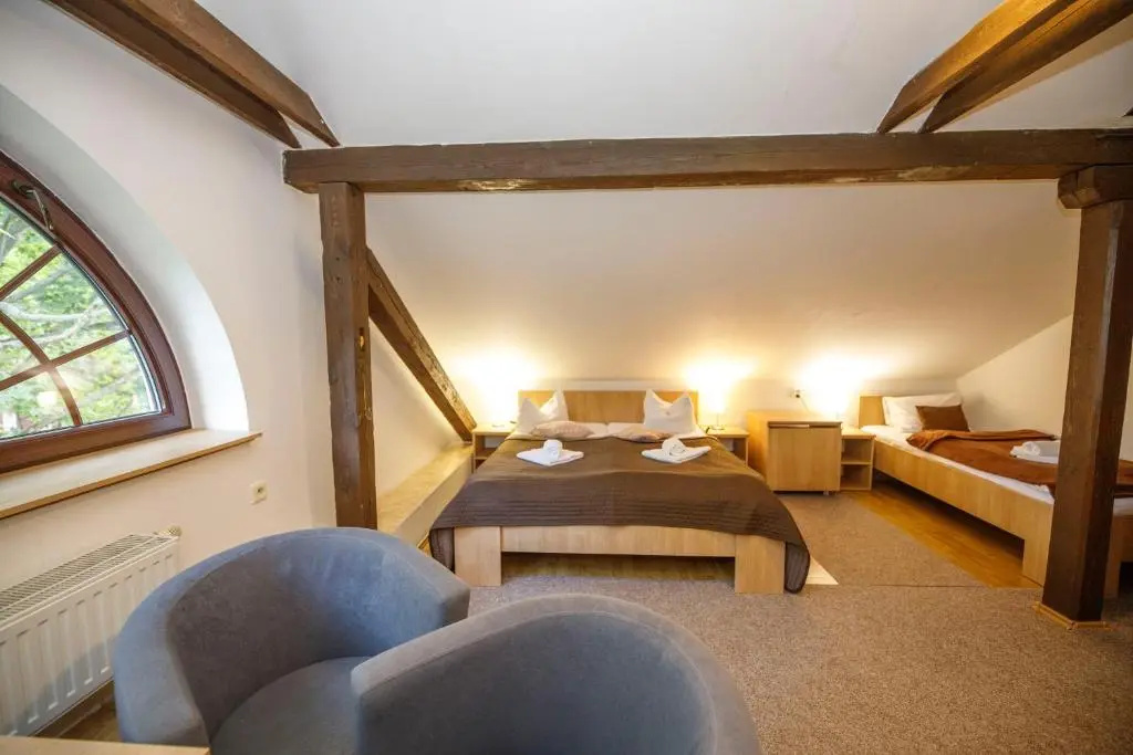 Hotel Džbán - Chambres