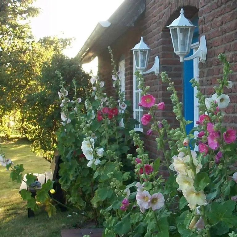 Haus Wolfram App Gondeline Morsumer Kliff