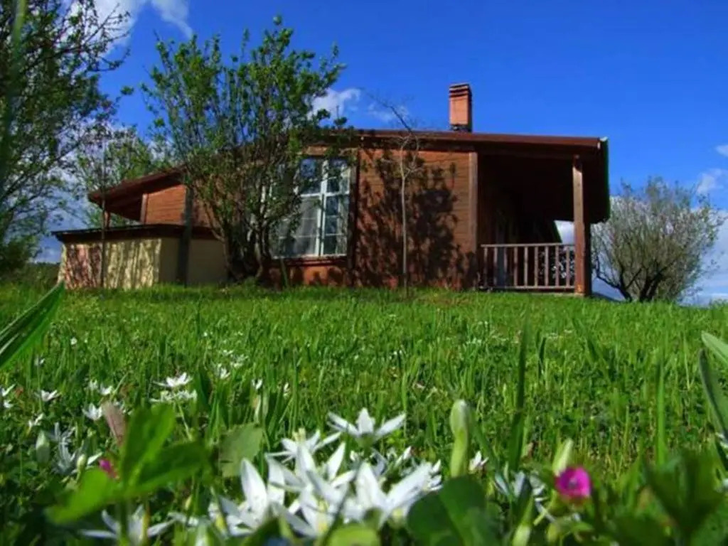 頂級公寓，設有陽台及景觀