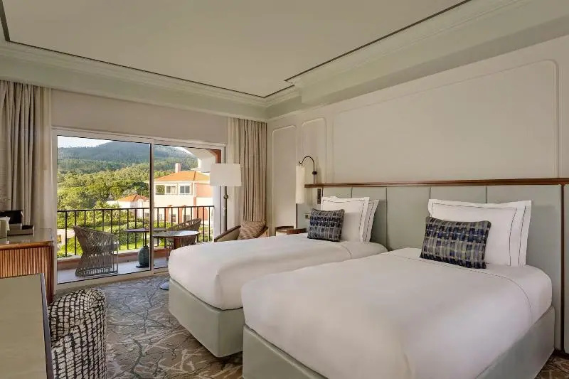 Deluxe Double room with park view (twin beds)