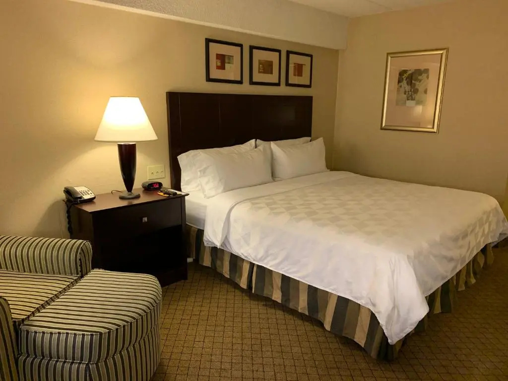 Holiday Inn Johnstown Downtown by IHG - Chambres