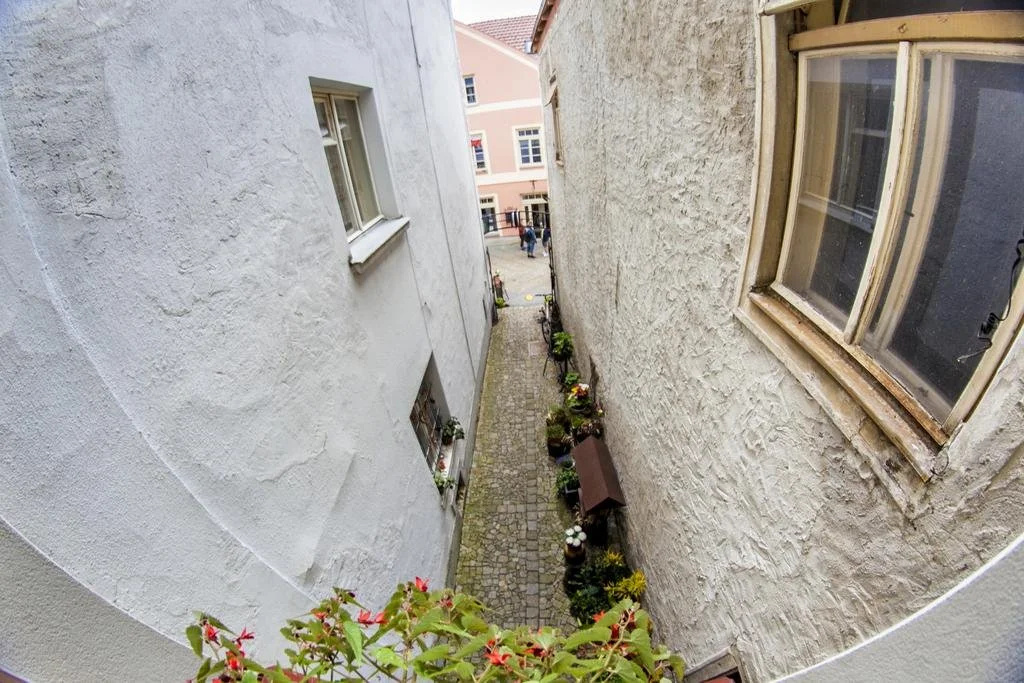 Balcony & Terrace