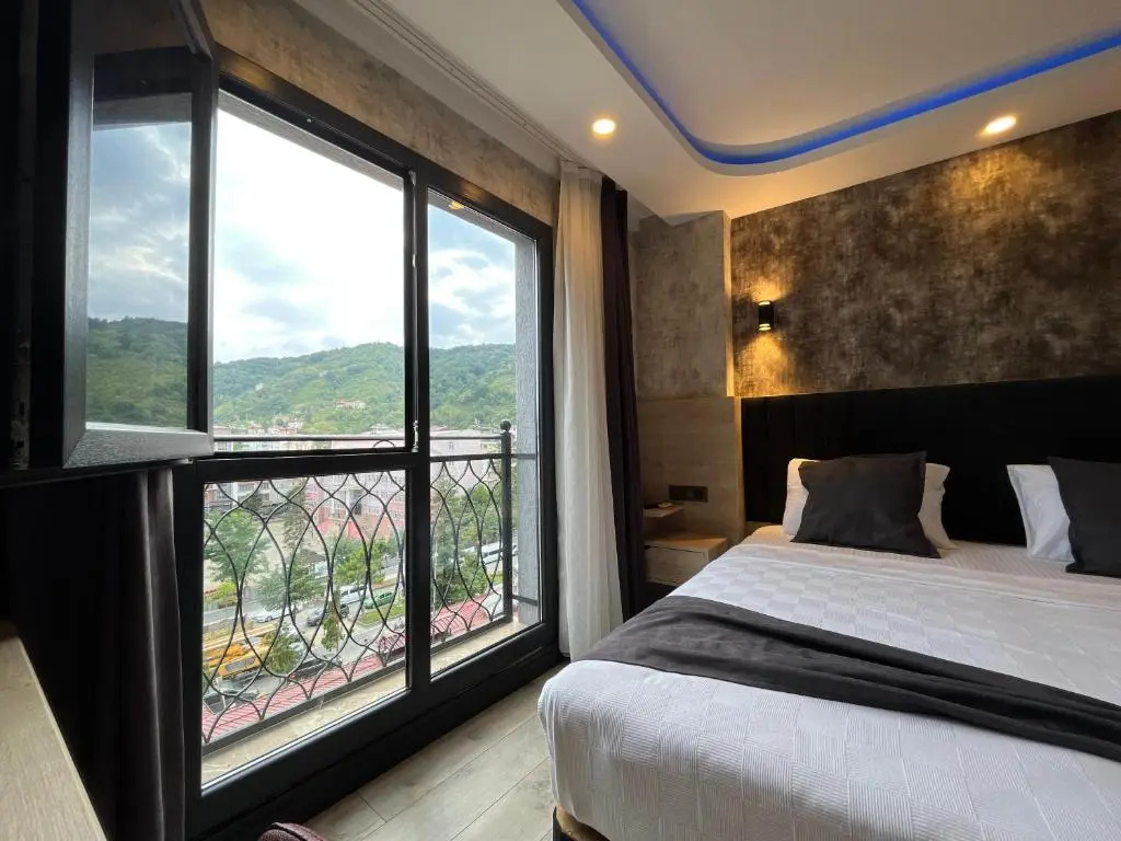 Standard Double room with mountain view (full double bed)