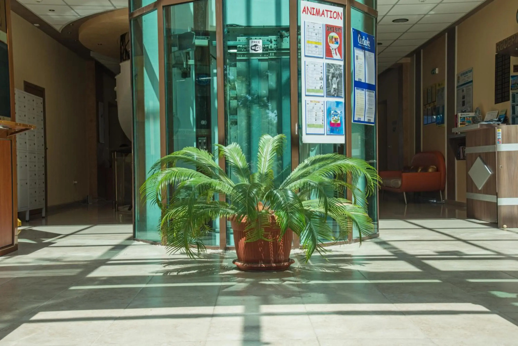 Prestige City 2 - фото 46