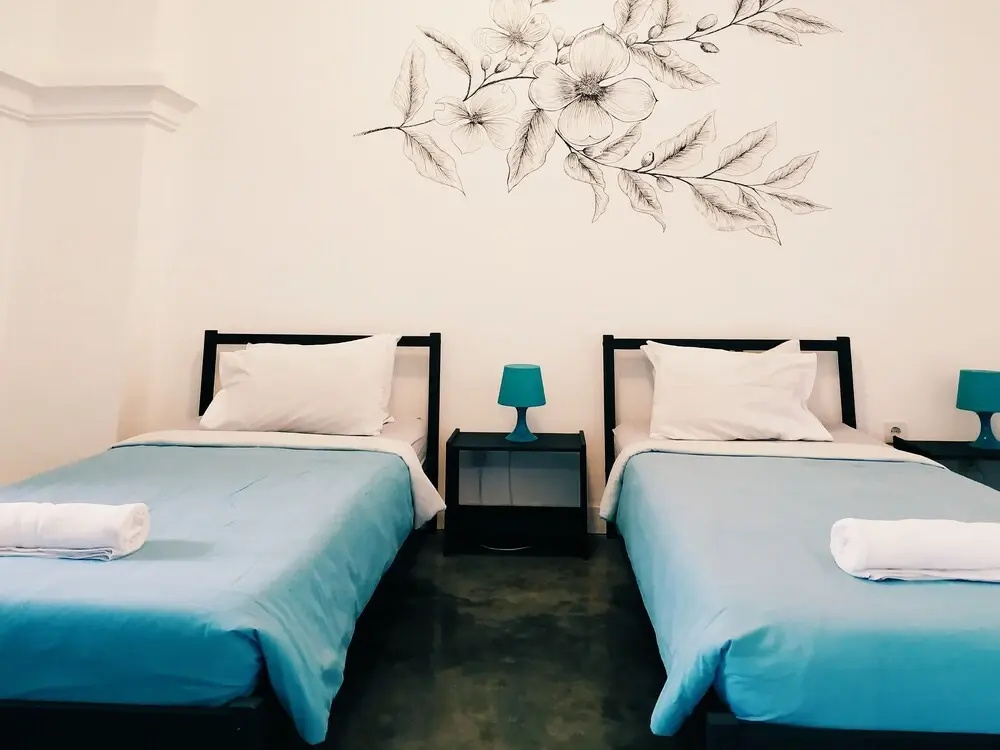 Deluxe Double room with city view (twin beds)