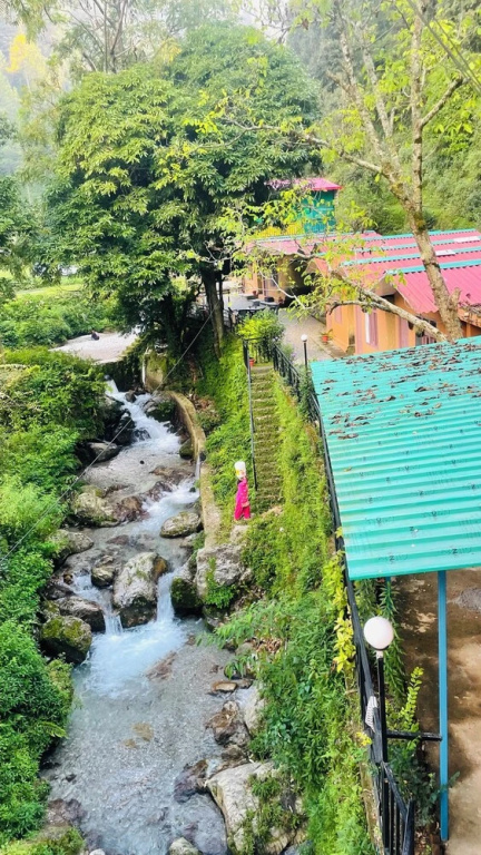 Hostel Abodes Trees Of Heaven
