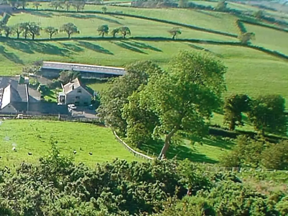 Alltyfyrddin Farm