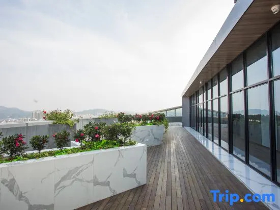 Balcony & Terrace