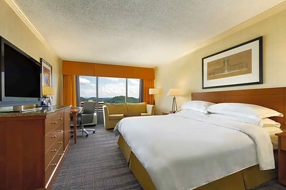 Hilton Knoxville - Chambres