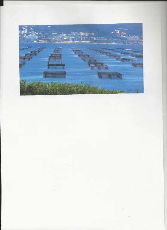 Afficher la photo 8 — studio lumineux avec terrasse
