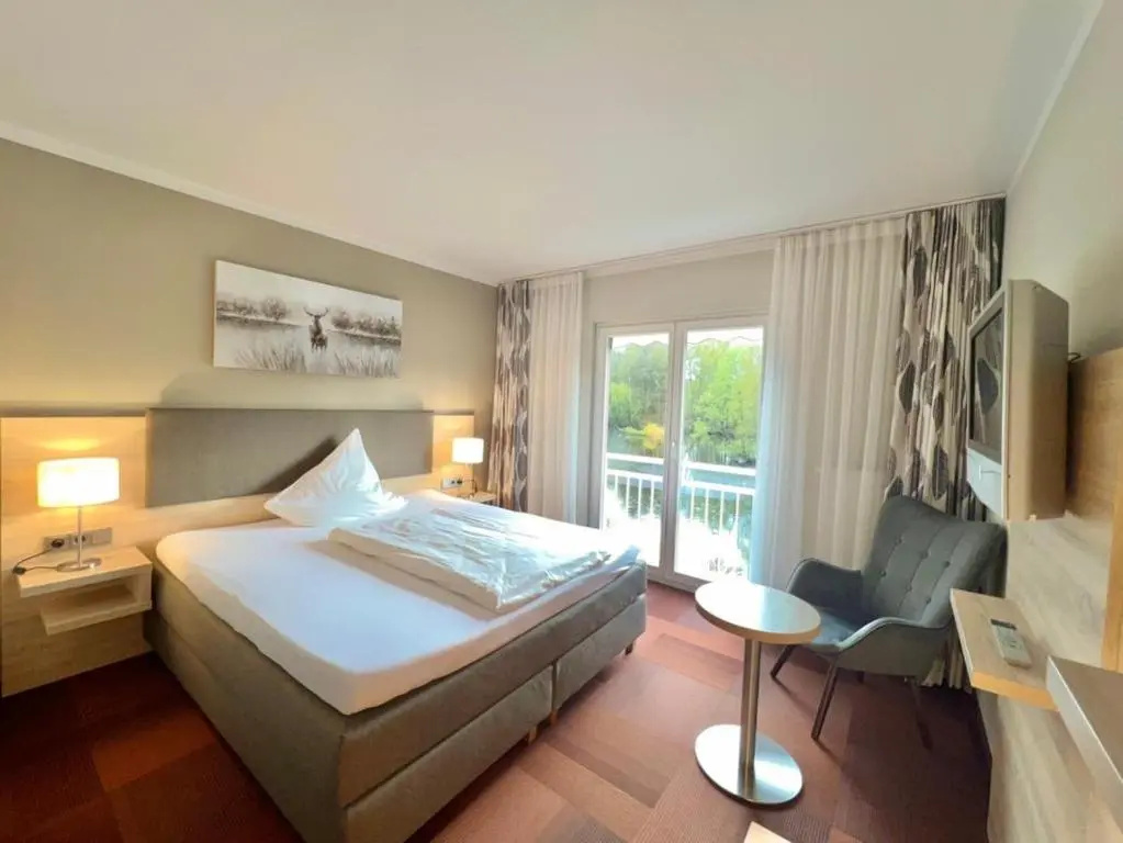 Standard Single room with lake view
