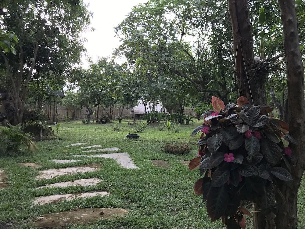 Balili Farm at Nacpan El Nido
