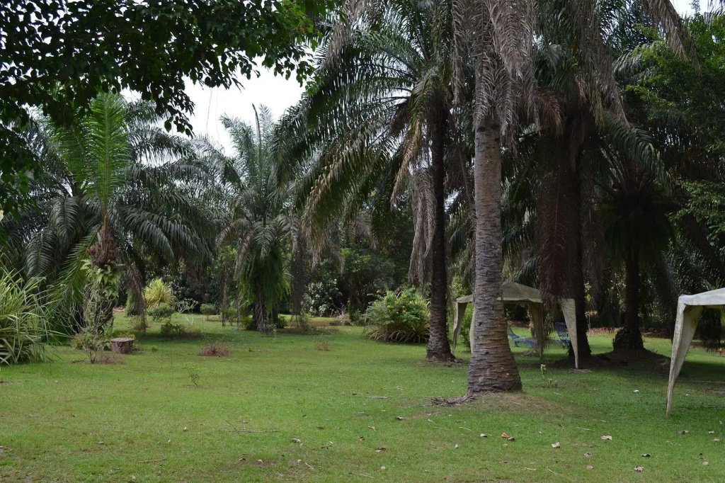 Hotel Framotel Kribi