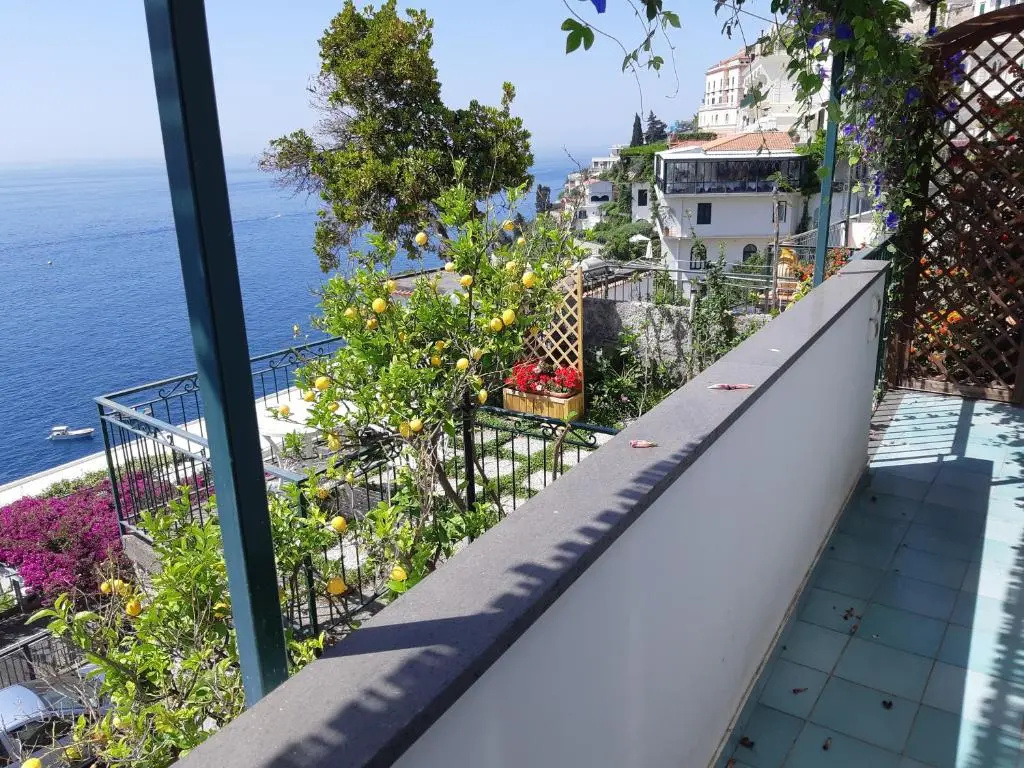 Amalfi Blue Flowers A