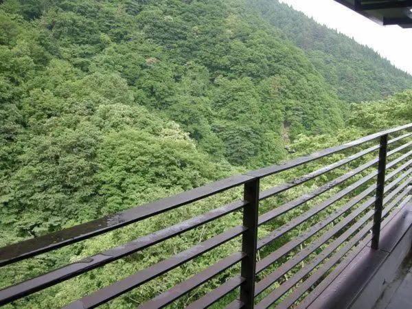 Hiranoya - Général