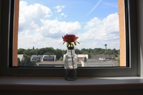 Balcony & Terrace