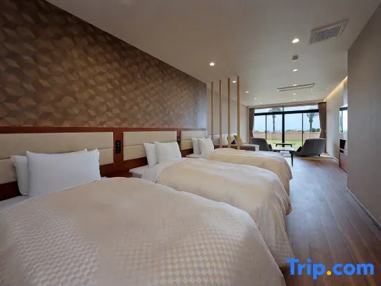 Tateyama Seaside Hotel - Chambres