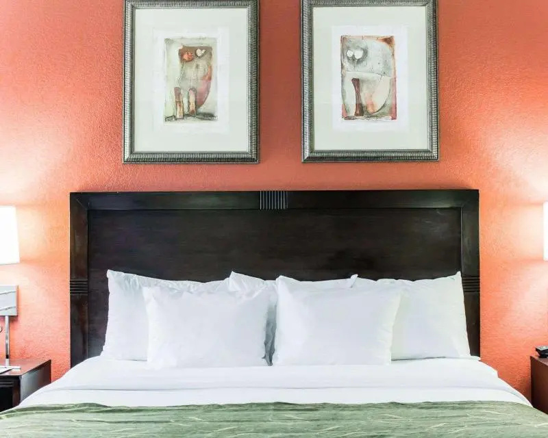 Comfort Suites Regency Park - Chambres