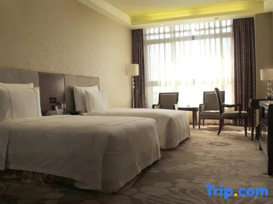 Zhongfei Grand Sky Light Hotel - Chambres