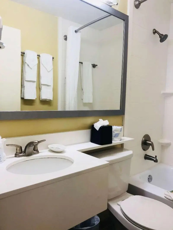 Palm Tree Club Miami Hotel - Chambres