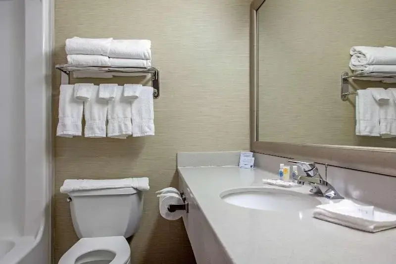 Comfort Inn & Suites I-25 Near Spaceport America - Général
