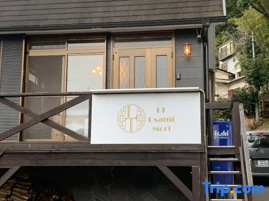 Lt Usami Mori in Ito