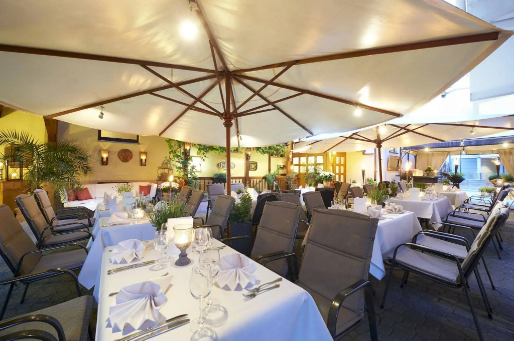 Hotel Hanauerhof - Général