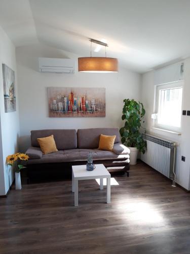 Отель Apartments Pineta Franko, фото 7