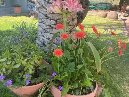 Bird'S Nest Guesthouse — фото 4