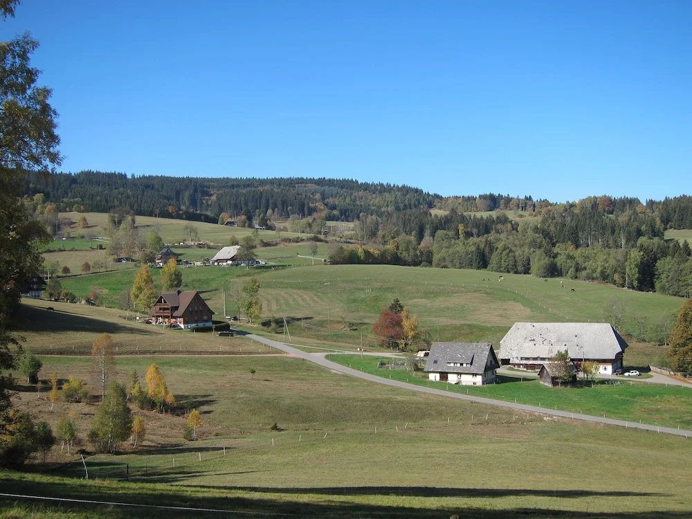Hotel Bären Titisee - Général