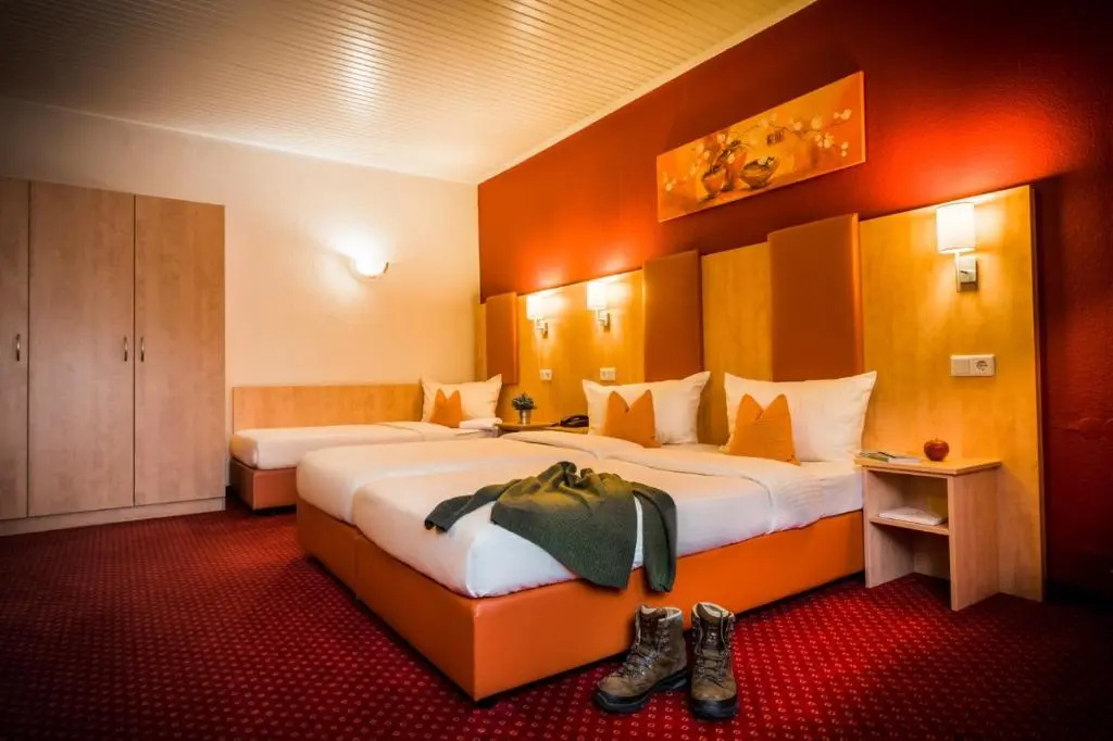 Rheinhotel Rüdesheim - Chambres