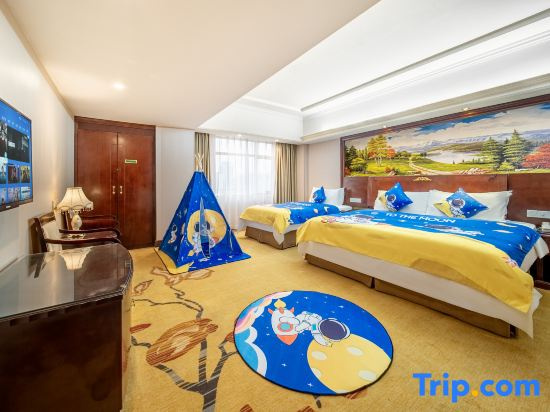Vienna Hotel Heyuan Hongxing Road Branch - Chambres